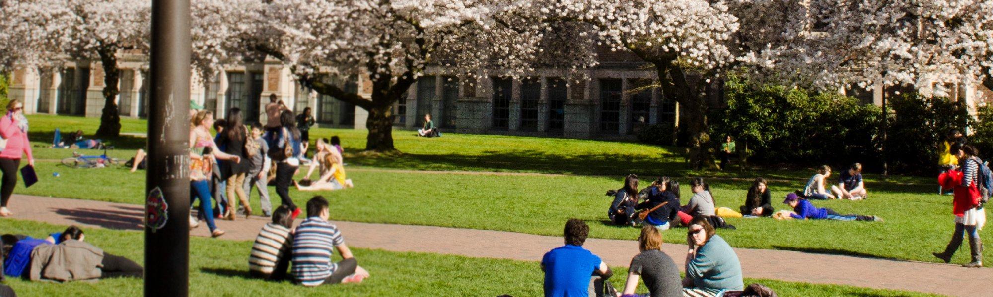 Online Master of Science in Civil Engineering: Energy Infrastructure