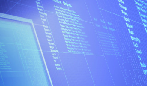 Software Product Management