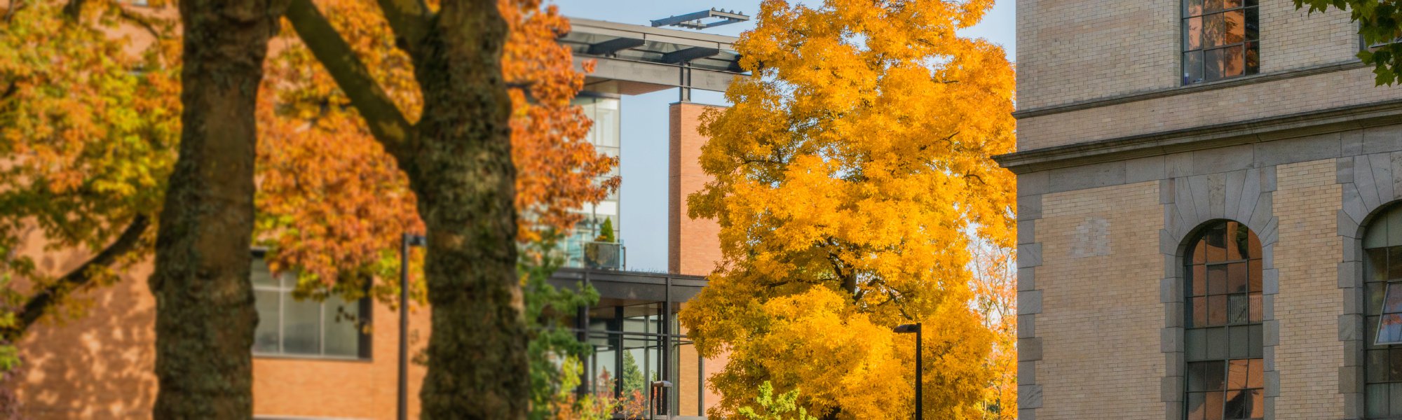 Master of Science in Computational Linguistics