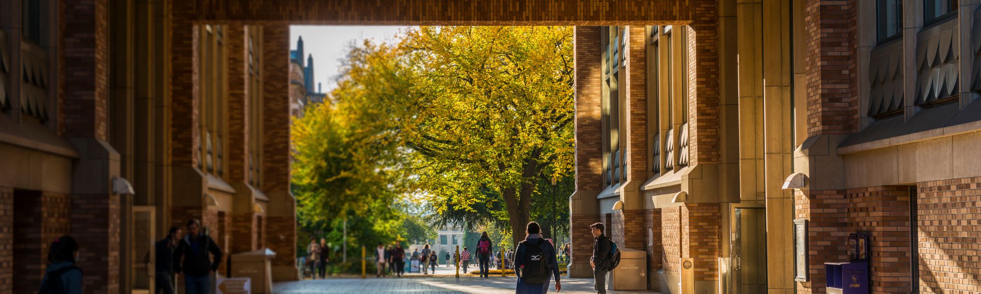 Online Master of Public Health