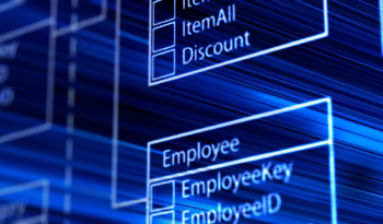Business Intelligence & Data Integration