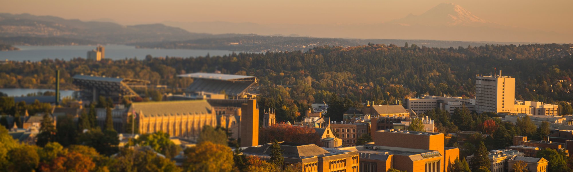 Master of Science in Clinical Research Speech-Language Pathology