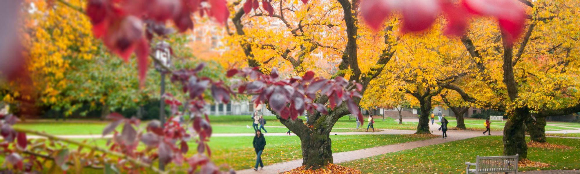 Master of Science in Educational Speech-Language Pathology