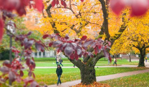 Master of Science in Educational Speech-Language Pathology