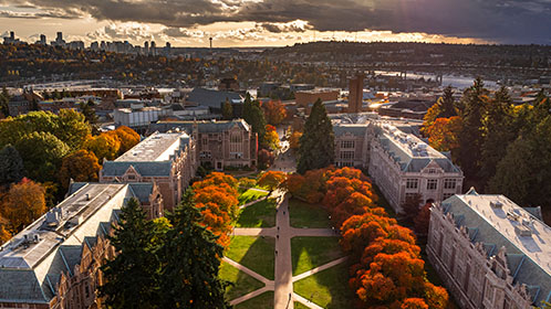 UW campus fall leaves