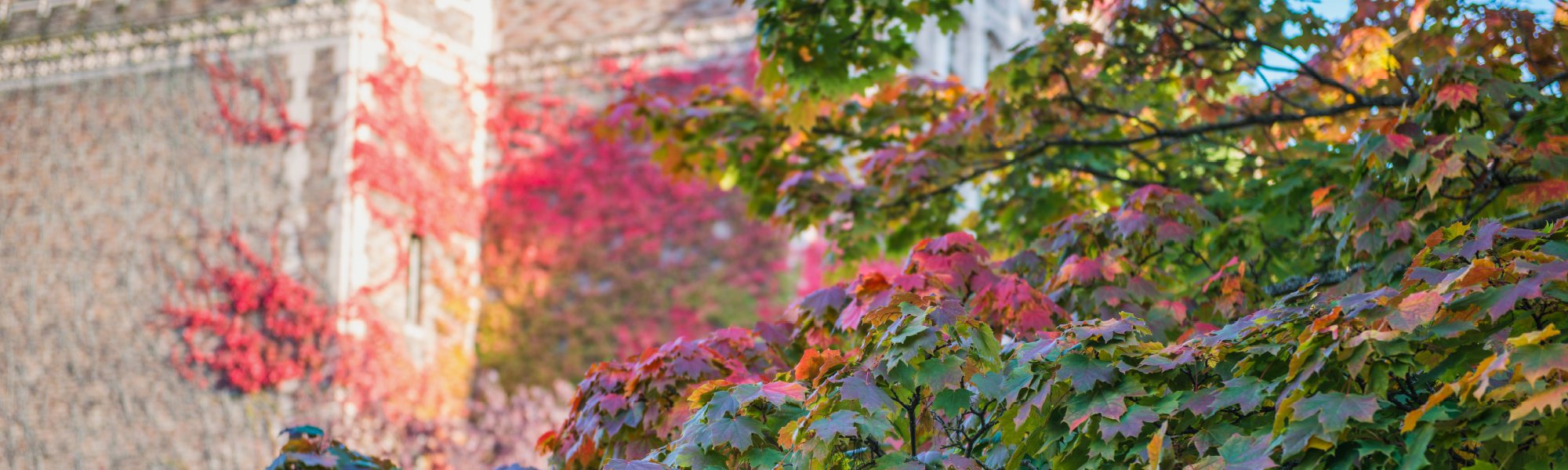 Online Master of Science in Applied & Computational Mathematics