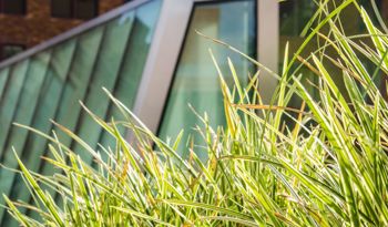 Accelerated Bachelor of Science in Nursing