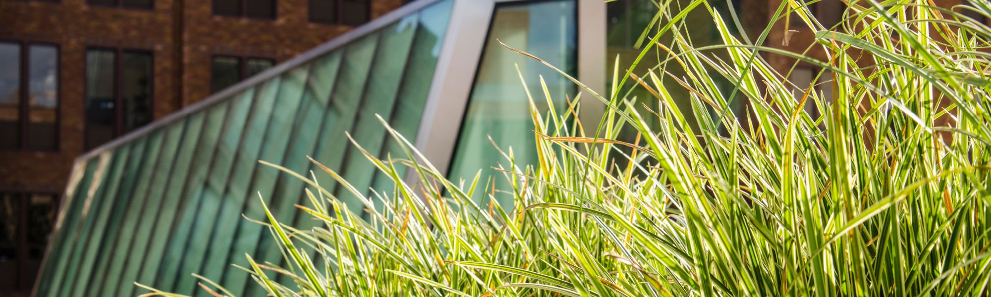 Master of Science in Mechanical Engineering